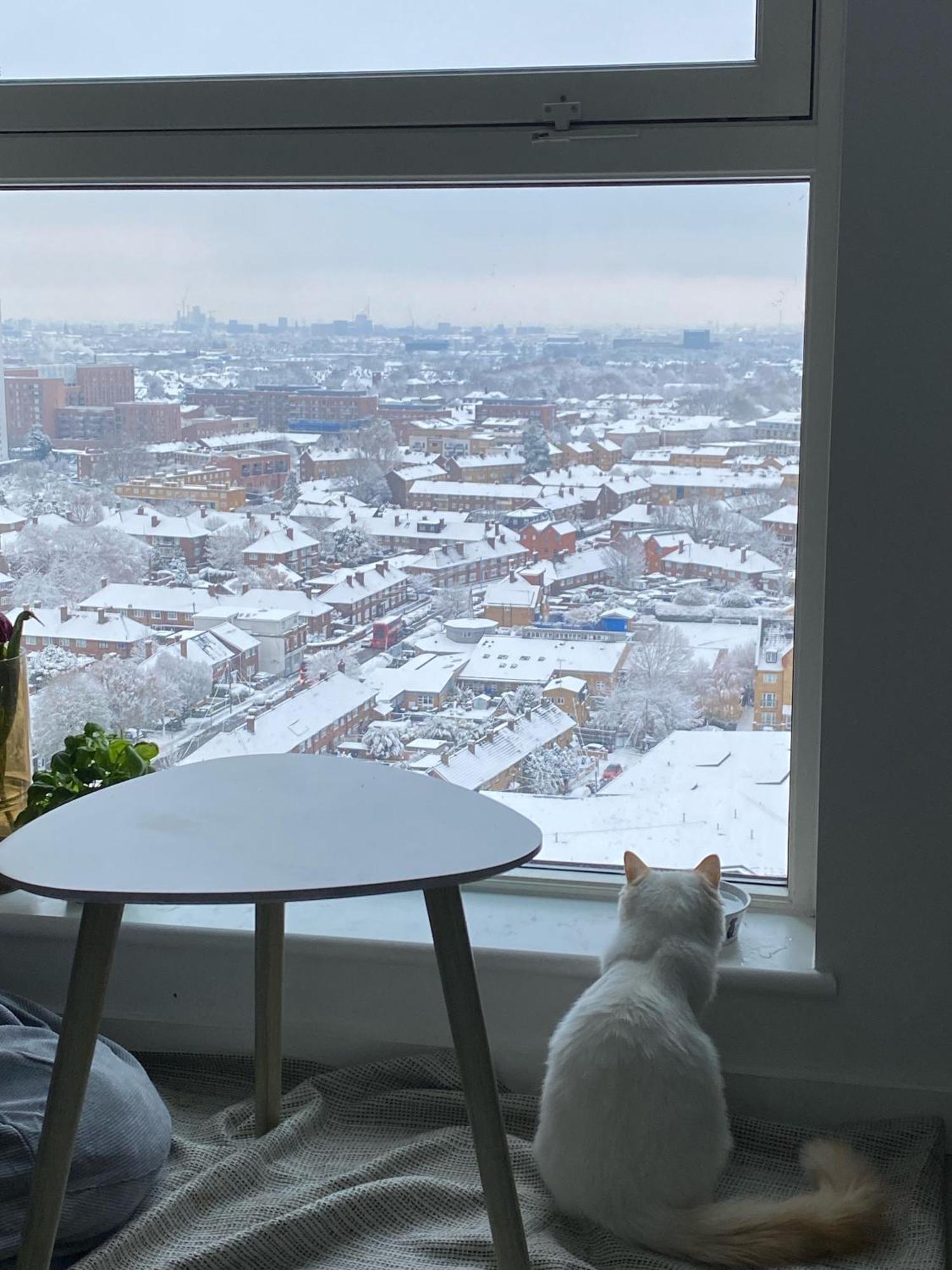 Cozy Flat With Stunning Views Londres Exterior foto